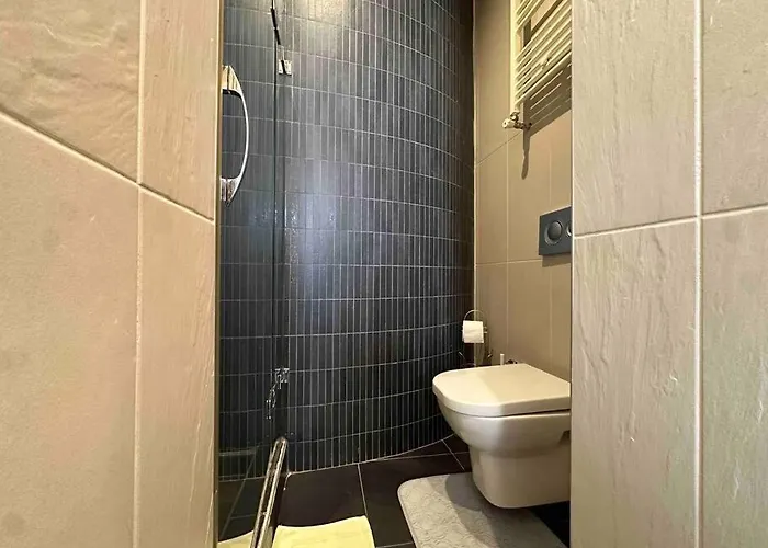 Appartement 2br, 2ba, 1st Floor Of Historical Building ,galata *